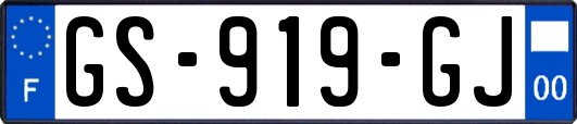 GS-919-GJ