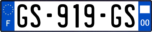 GS-919-GS