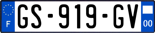 GS-919-GV