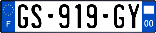 GS-919-GY