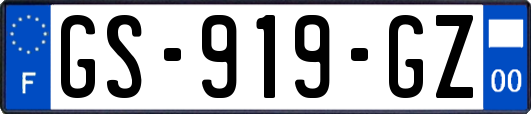 GS-919-GZ