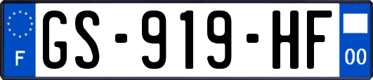 GS-919-HF