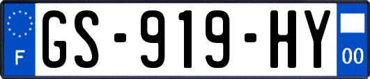 GS-919-HY