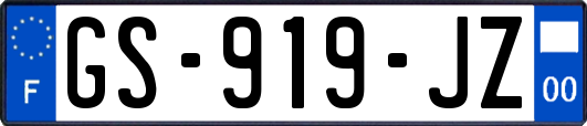 GS-919-JZ