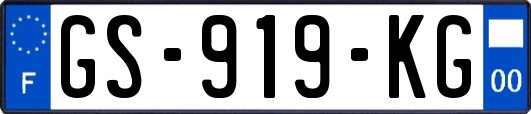 GS-919-KG