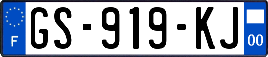 GS-919-KJ