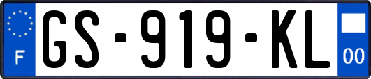 GS-919-KL