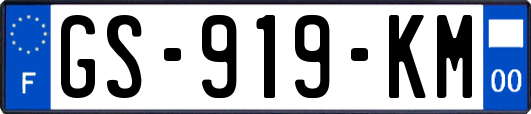 GS-919-KM