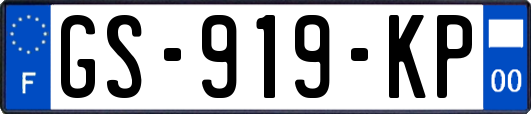 GS-919-KP
