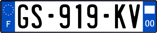 GS-919-KV