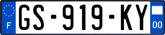 GS-919-KY