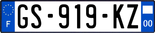 GS-919-KZ