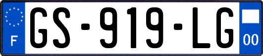 GS-919-LG