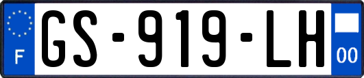 GS-919-LH