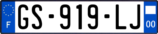 GS-919-LJ