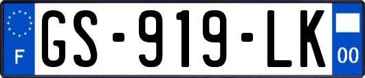 GS-919-LK