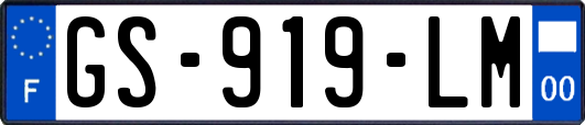 GS-919-LM
