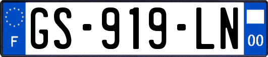 GS-919-LN