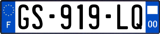 GS-919-LQ