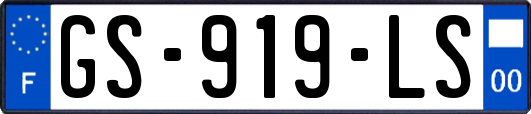 GS-919-LS