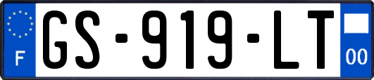 GS-919-LT