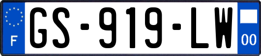GS-919-LW