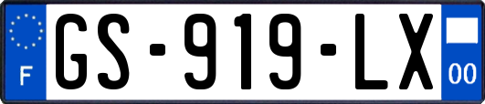 GS-919-LX