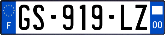 GS-919-LZ