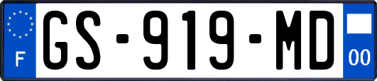 GS-919-MD