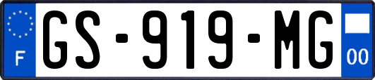 GS-919-MG