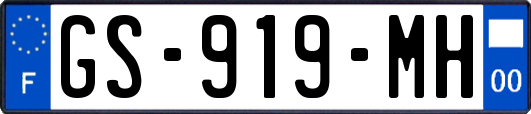 GS-919-MH