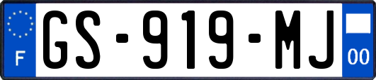 GS-919-MJ