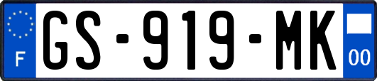 GS-919-MK