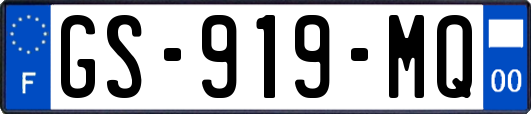 GS-919-MQ