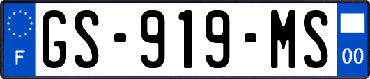GS-919-MS