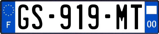 GS-919-MT