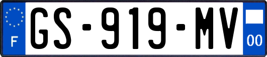 GS-919-MV