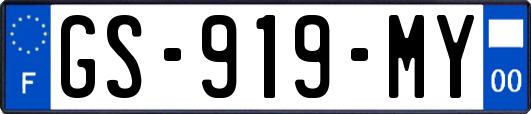 GS-919-MY