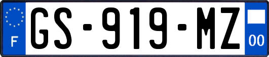 GS-919-MZ
