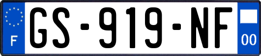 GS-919-NF