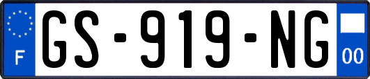 GS-919-NG