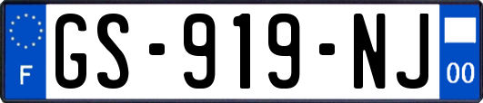GS-919-NJ