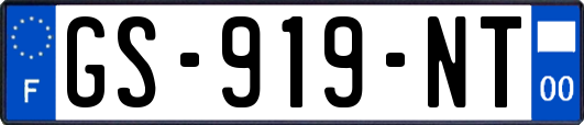 GS-919-NT