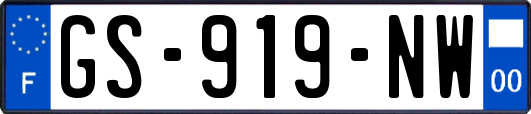 GS-919-NW