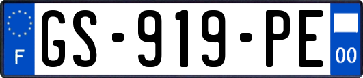 GS-919-PE