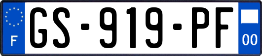GS-919-PF