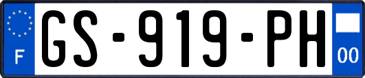 GS-919-PH