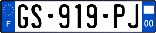 GS-919-PJ