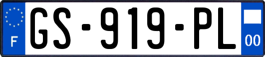 GS-919-PL