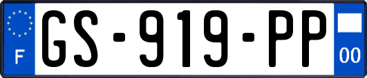 GS-919-PP